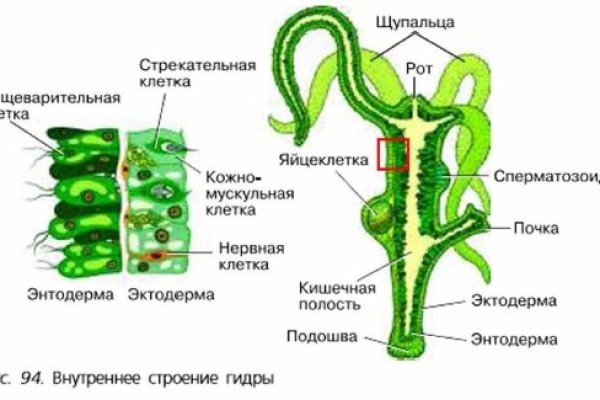 Кракен онион сайт io