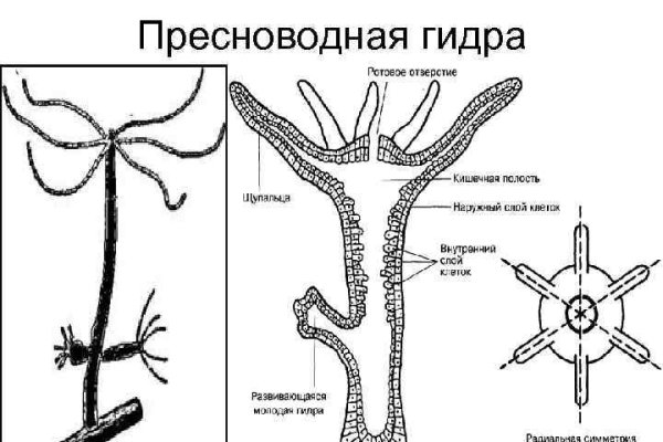 Кракен закладки